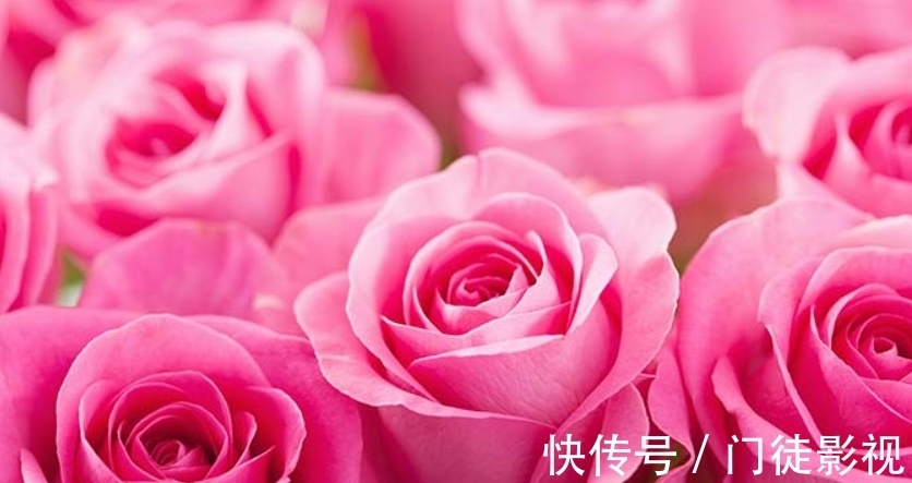 11月2日十二星座运势红榜下 双鱼座运气棒棒哒 贵人运很给力 全网搜 11月2日十二星座运势红榜下 双鱼座运气棒棒哒 贵人运很给力 全网搜