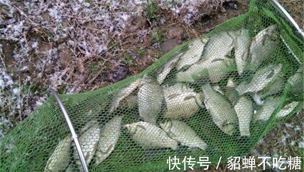 冬季钓鱼,不要一到水边就下竿,牢记4个法则,天再冷都能爆护