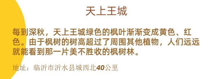 赏秋|临沂赏秋攻略出炉！每一个都不能错过