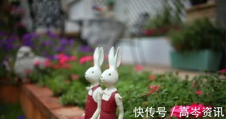 小区|坐拥270㎡大院子,她如何用五年时间,打造成了全小区最美的花园