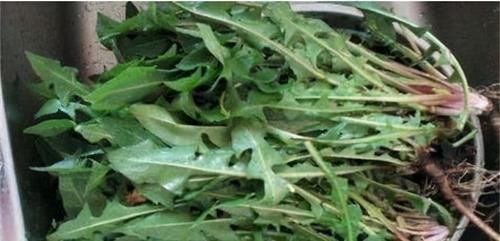 排毒养颜|人到中年想长寿,可以坚持吃三种食物,补充营养,好处多多