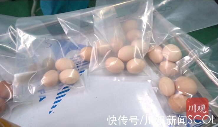 菌落总数|溏心蛋有细菌？再制蛋是“人造蛋”？击破关于蛋的谣言