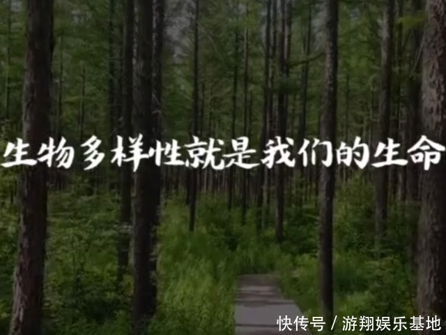 人体健康|国际生物多样性日,哪些植物对人体健康最好4种植物最吸有害物