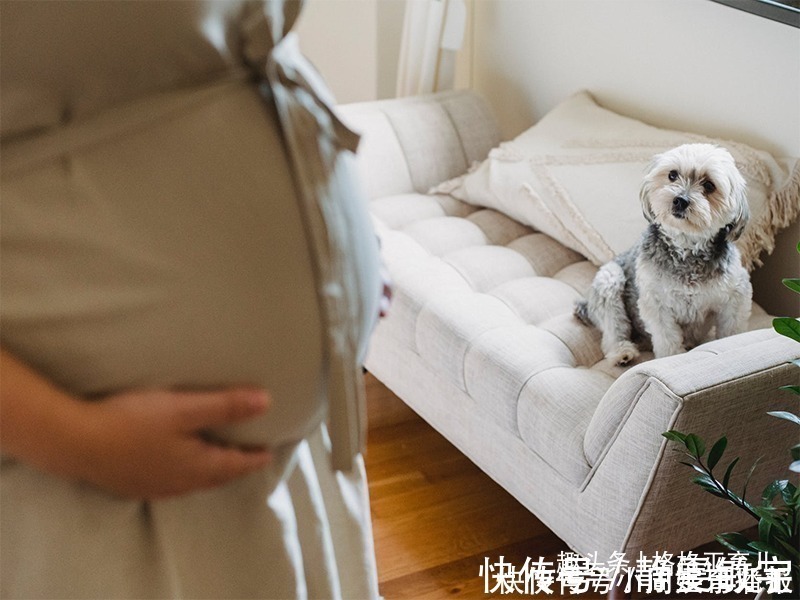 妈妈们|临近预产期,除了爬楼,还有哪些方便帮助快速生产的方法呢?