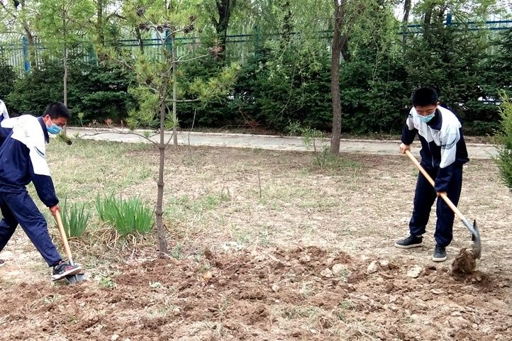 王永利|人民巷调查｜“亲妈式关爱”背后的心酸真相