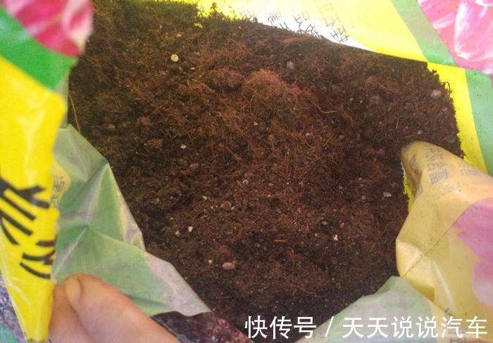 花生壳|家里养花不花钱,一个小方法,用不完的草炭土