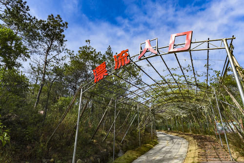 修建|牛！修建了广东第一座玻璃桥的景区，还炒火了广州人最爱的禾雀花