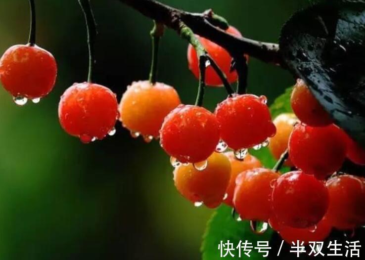 售货员|宝宝在超市吃了一颗樱桃,被骂没教养,这位妈妈压下怒气怼得好