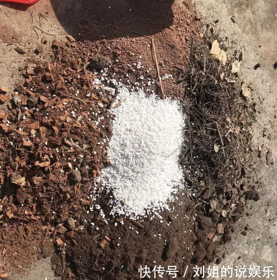 养分|养花的“旧土”别浪费，3步巧加工，又“肥的流油”，养花一级棒