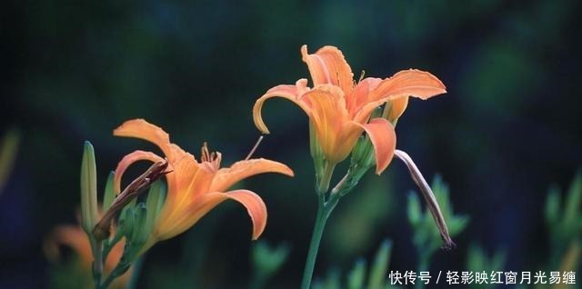 潇潇|这首宋词冷僻而惊艳,寥寥数语,写尽世间最刻骨的相思,一眼入心