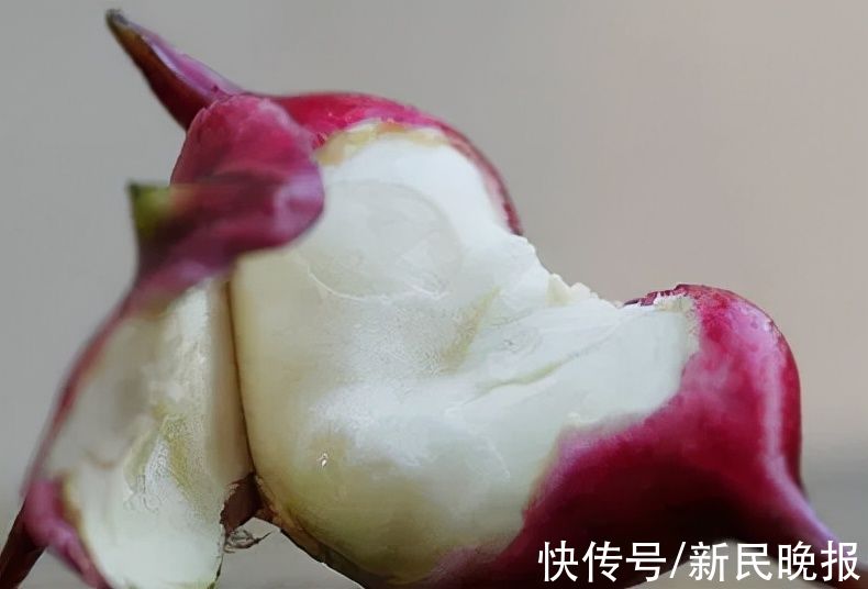 菱角|这个东西上海人都爱生吃，后果很严重！有人吃坏了肝，赶紧扩散