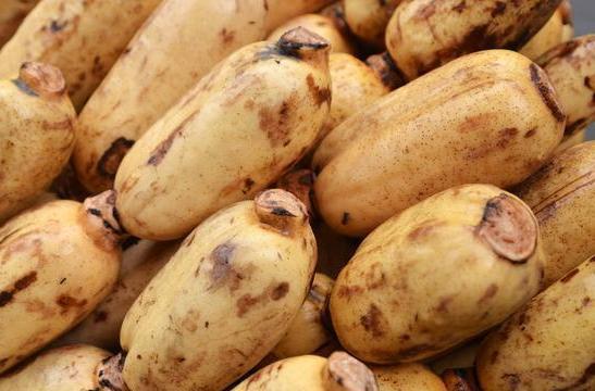 清洗莲藕，万万不可只用清水，教你正确做法，脏东西主动跑出来