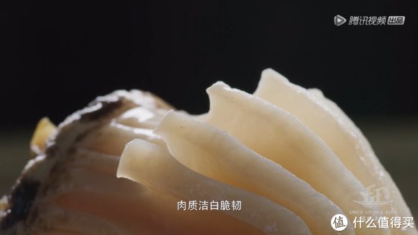 佐餐佳片——风味人间第三季 大海小鲜 开播，请各位自行准备好宵夜