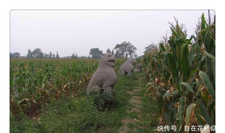 皇帝|最惨皇陵皇帝没有看风水一箭选的位置,如今不要钱也没人来参观!