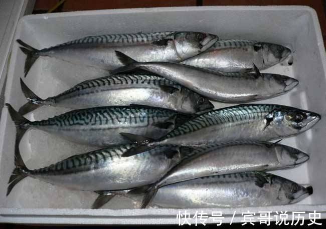 鲅鱼|买鱼时,5种鱼无法养殖,碰到了就买了吧!多吃了对身体有好处