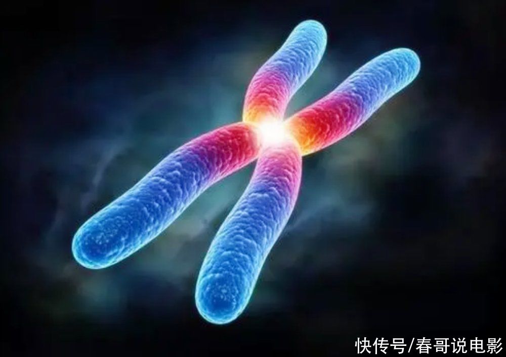 孕期|每天都吃水果的孕妇，生出来的孩子智商较高！几种水果益智又安胎