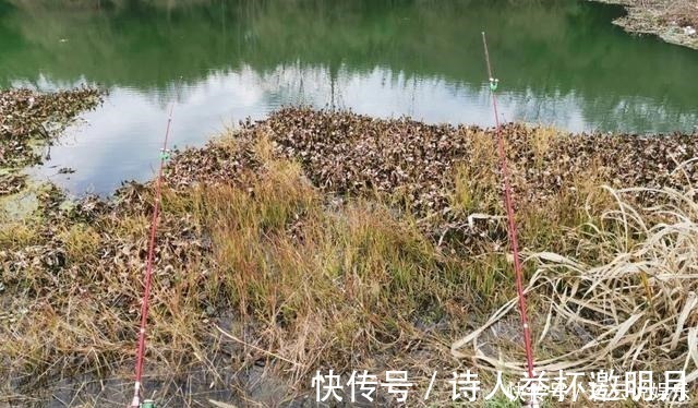 鲫鱼|冬钓鲫鱼的“偷懒”玩法，筏竿配上串钩，再也不怕鱼儿跑远了