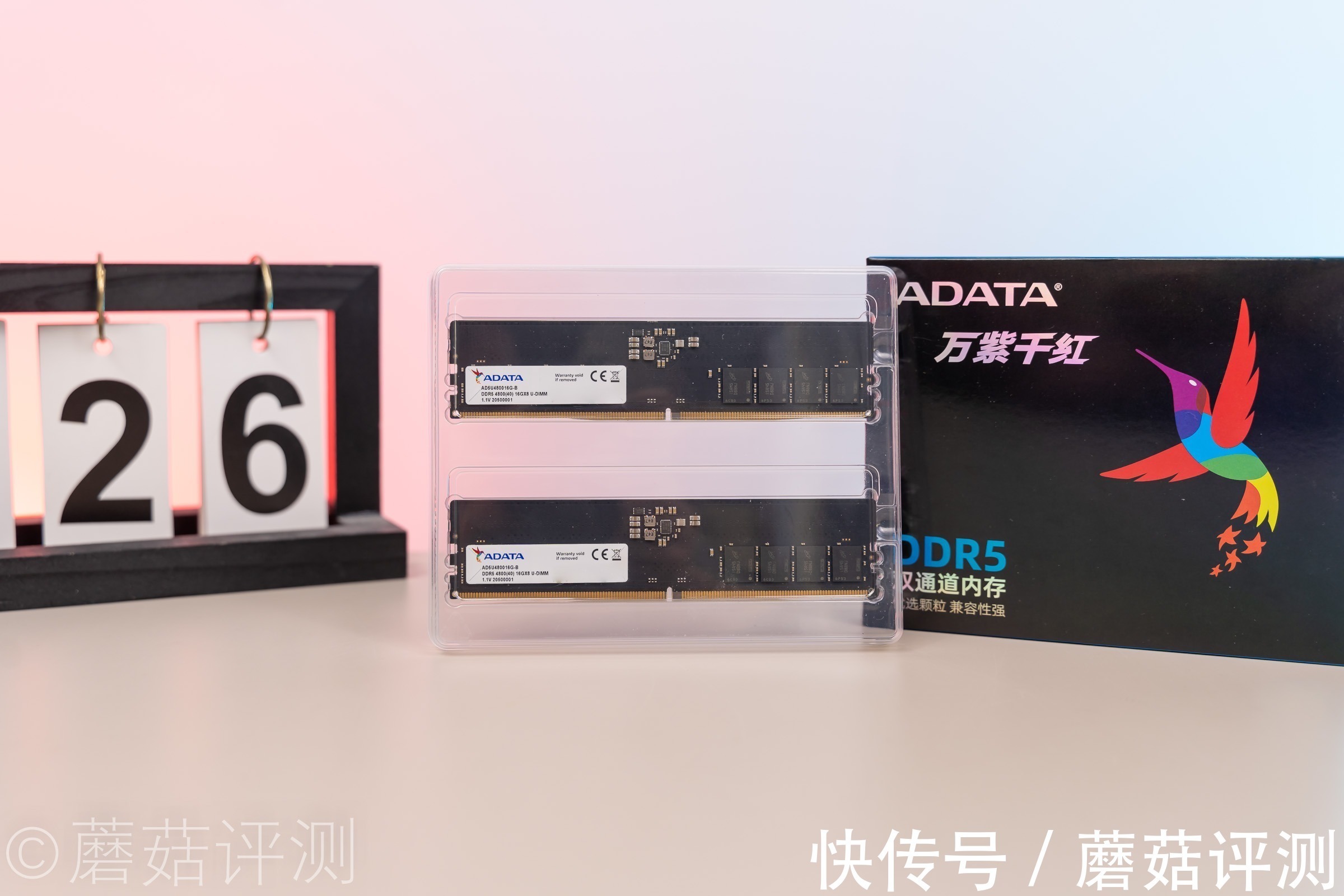 威刚|想要生产力？还得看DDR5内存、威刚DDR5万紫千红4800MHz内存 评测