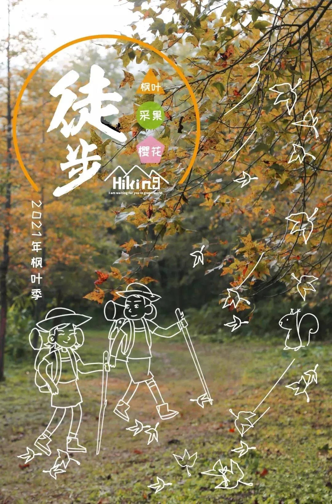 驴友|【广东100公里】-徒步-《11.21号》田野绿+世界枫林，体验行走的力量！