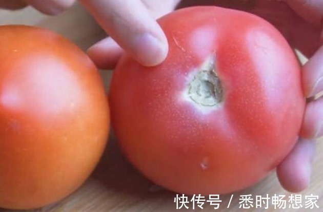 西红柿|怎么辨别出打了“激素”的西红柿看一个部位轻松避开,别买错了