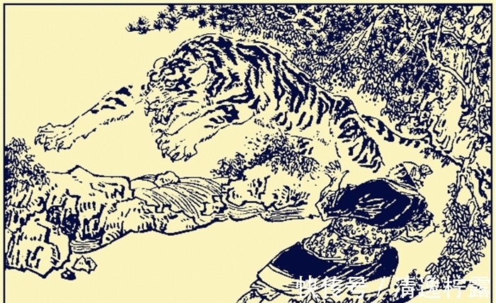 泰森@武松徒手打死老虎,现在科学家却证实不可能,老虎死得冤吗?