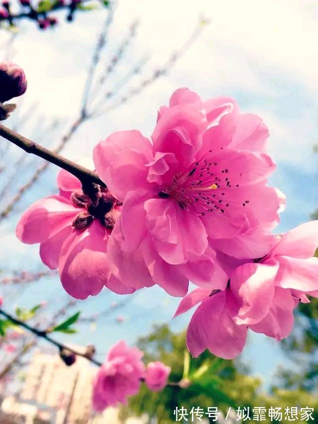 善念$人在做,天在看!做人,别缺德,要心存善念!