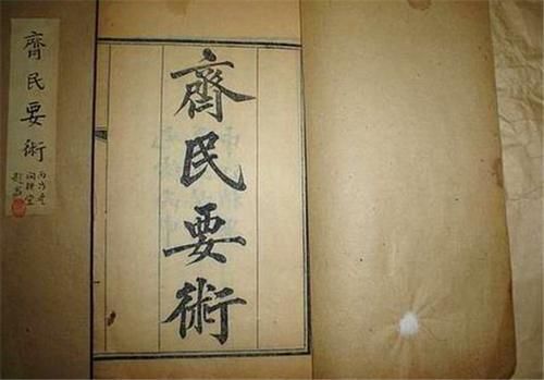  古时期人们|“可远观，而不可亵玩焉”：做菜、加工，古人“吃莲”好处多多