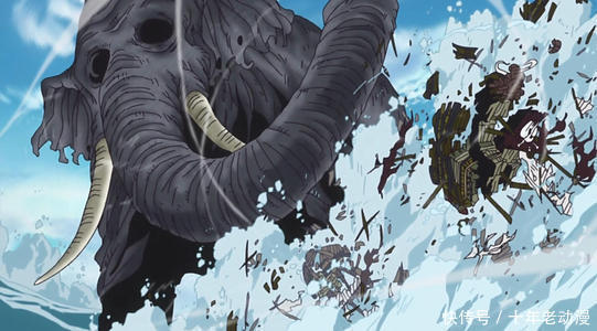 战斗力超强|海贼王中战斗力超强的几种动物,还有一个击败过索隆!