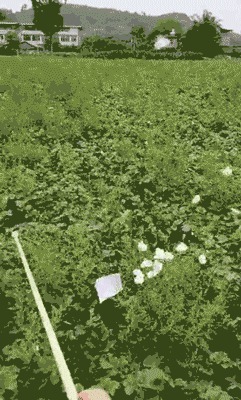 |搞笑GIF:教室里的女汉子又开始劈腿了,真是伤不起啊