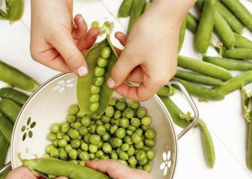 豌豆|十个女人九个湿,夏季3种蔬菜每周吃一次,远离湿毒肥胖的烦恼