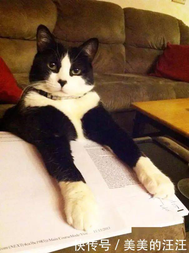 看什么书看书,难道我还没有书好看吗