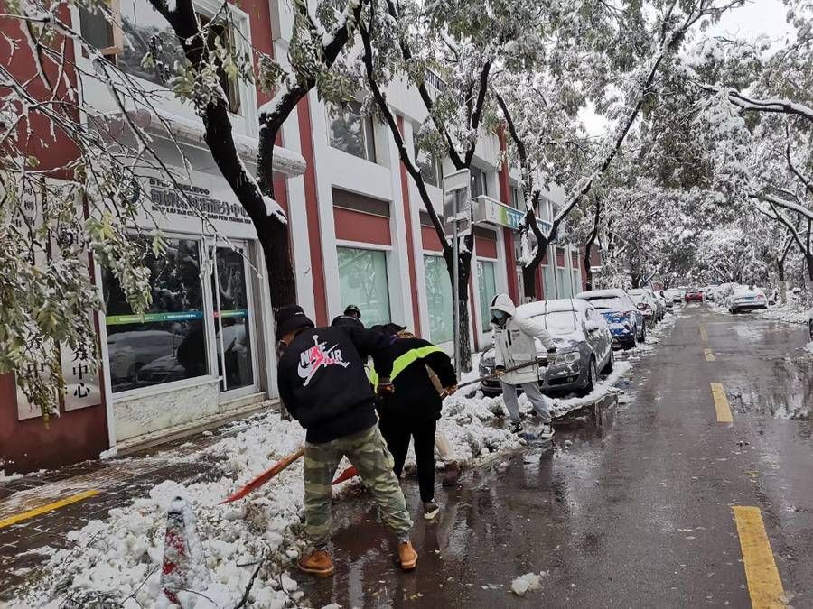 立冬|初雪送温暖，看历下区甸柳中心幼儿园都做了哪些事