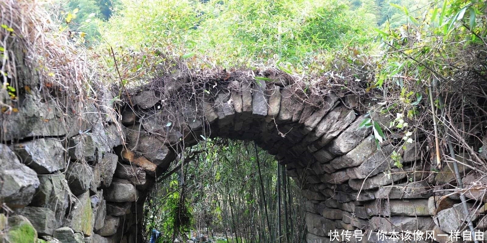 水银对保护墓葬起不起作用,专家用亲身经历说:这种保护很厉害