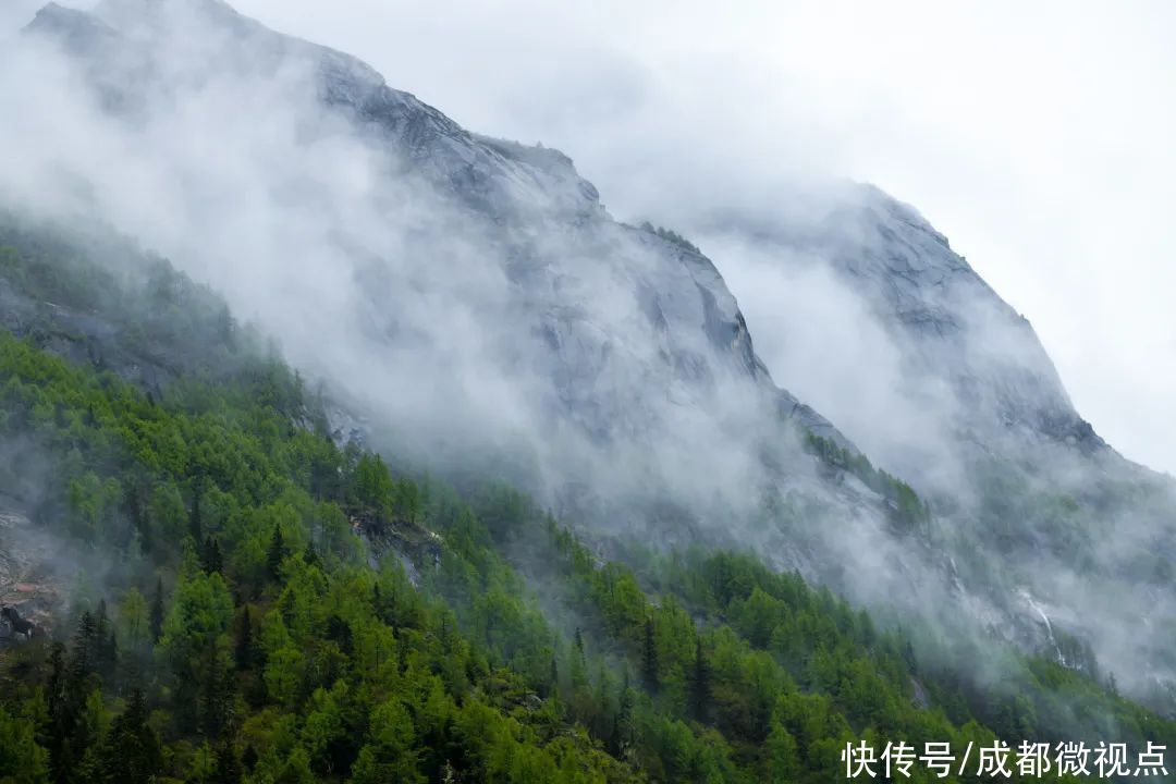 tr放慢脚步，跟着许巍的歌去四姑娘山旅行