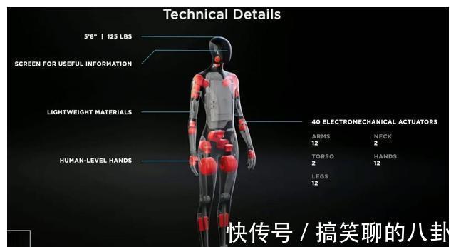 特斯拉人形AI遭美媒嘲讽:典型“马式吹牛”,精彩而愚蠢的闹剧