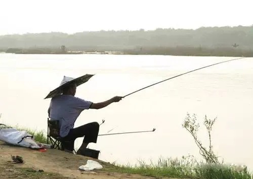 野钓上鱼的好办法,让我们野钓渔获不停增长!