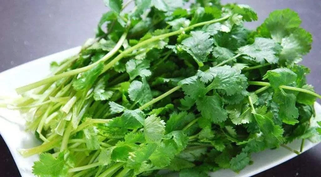 静脉曲张的7大“克星”食物，多吃这些，赶走“小蚯蚓”