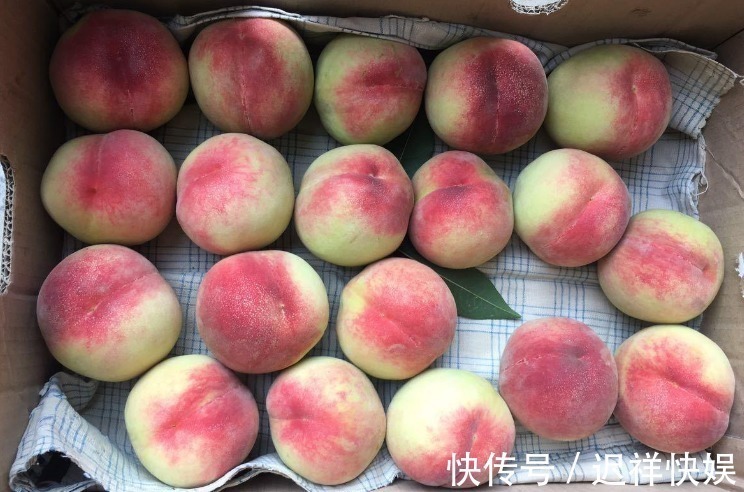 买桃子，不要只会挑大个儿的，学会挑选技巧，桃子又甜又多汁