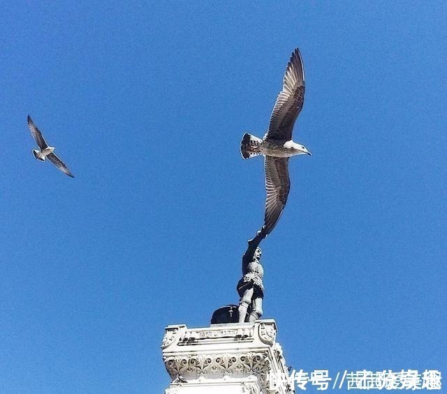 照片@30张脑洞炸裂的视觉错位照,不用PS也能欺骗你的眼睛!