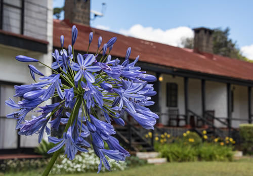 肯尼亚之旅住宿怎么样？价格会很贵吗？