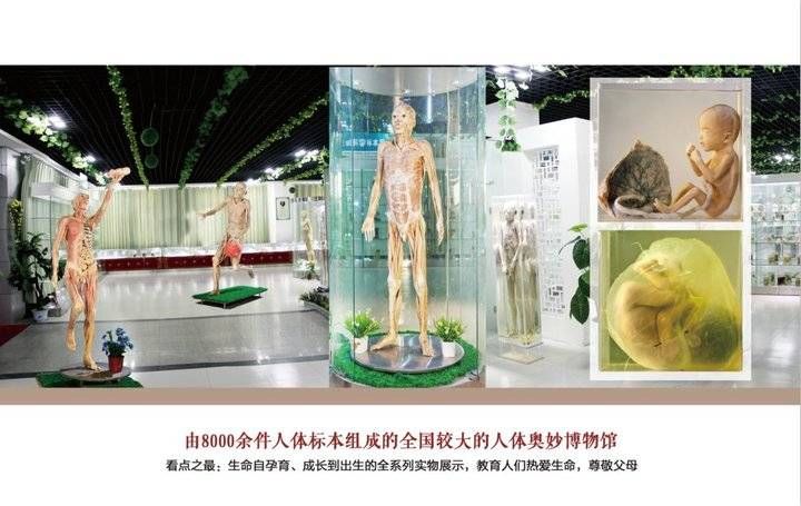 文化|喜讯!力明学院研学基地获批省级中小学生研学基地称号