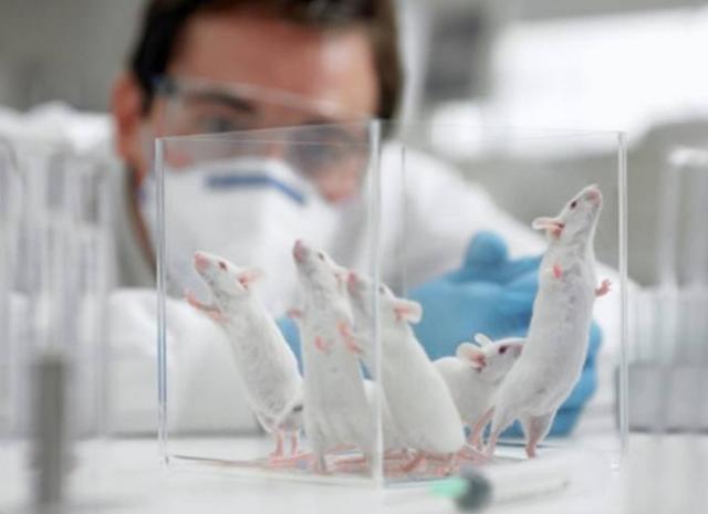 中药|血糖高不一定是糖尿病,还有6个原因,1中药降低血糖防治并发症