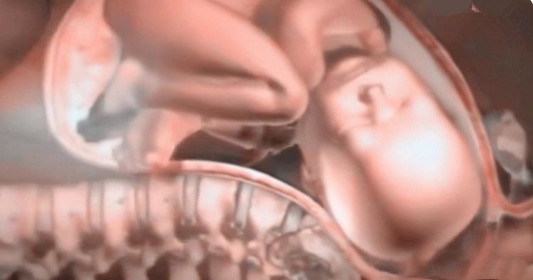 女性分娩|为什么顺产会很痛?4张图讲解原因,妈妈没有容易的