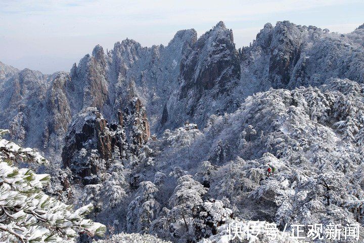 仙境|晶莹剔透，雪后的黄山宛如仙境