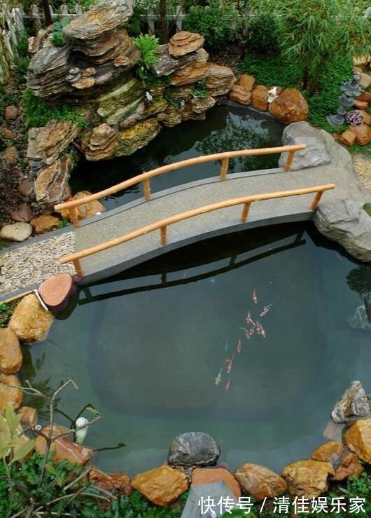 池塘|如果家里有个院子,就建个这样的鱼池吧,越住越富贵,真是太美了