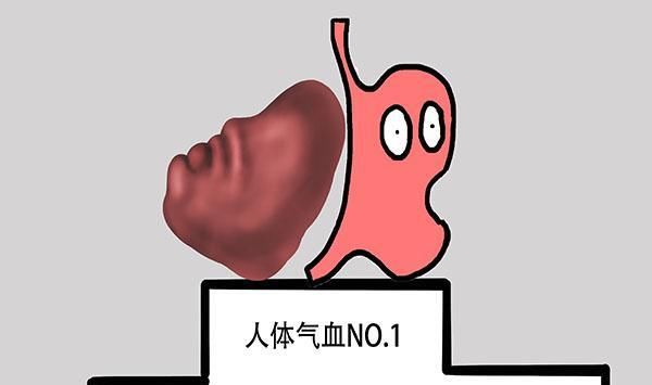 丁基苯酞|坦白說，想補氣血，吃當歸比阿膠效果好，兩個好處就是答案