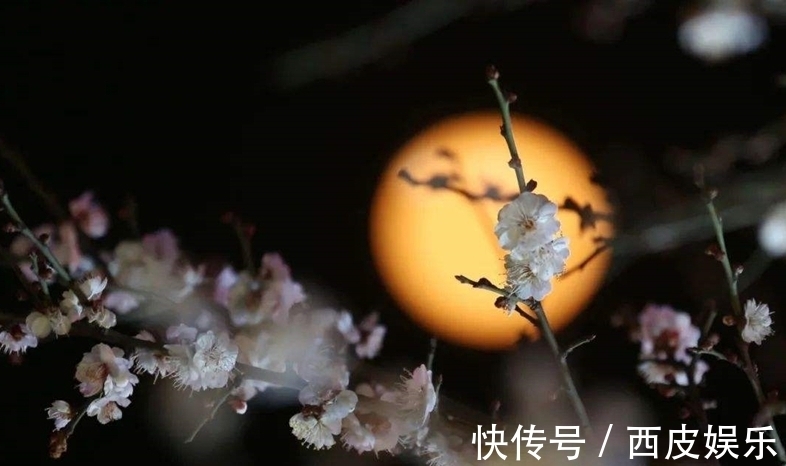 诗家词人$风雪寒天、冬夜漫漫,常人梦正酣,却有诗家词人辗转反侧为哪般?