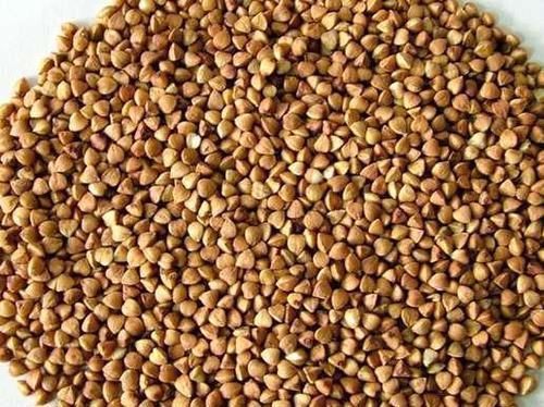 找到|天然“胰岛素”终于找到了,蒸米饭时加一点,血糖会慢慢降下来