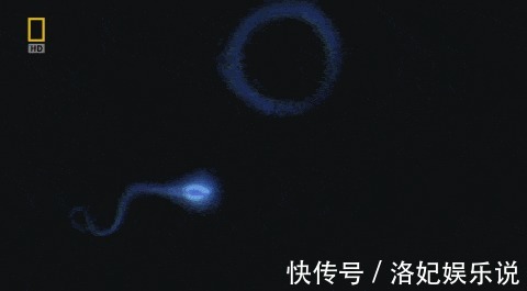 宝宝|备孕多久能怀上宝宝已经3个月了,肚子还没有动静怎么办