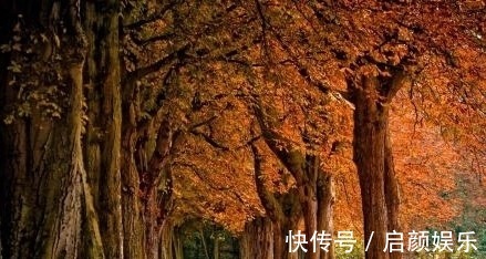 碧草$两首清丽俊秀的写景小诗,情隐景中,结尾却意在言外